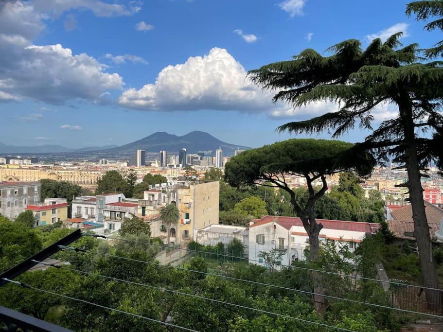 Luxury Panoramic Apartment